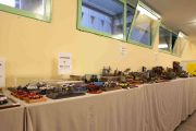 Concorso Picchiatelli premiazioni (12 di 85)